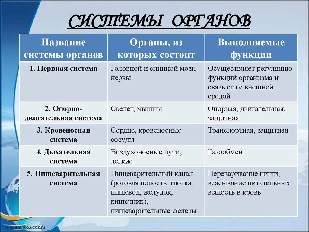 Функции класса называются. Таблица по биологии 8 класс система органов органы функции. Таблица по биологии 8 класс название системы органы функции. Система органов человека таблица название системы / органы/ функции. Таблица система органов и органы входящие в систему.