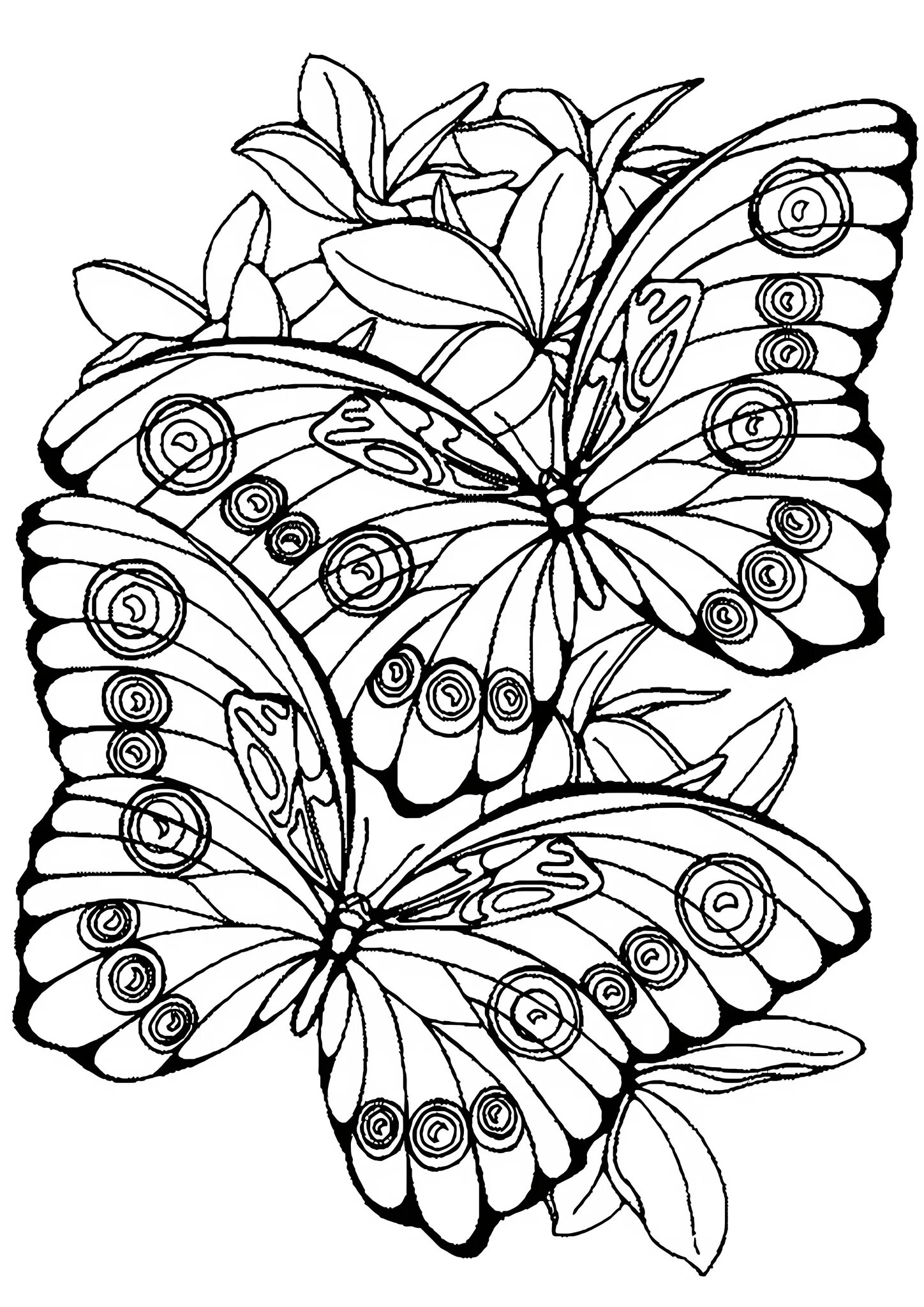 Лучшие раскраски а4. Раскраска "бабочки". Раскраски красивые. Бабочка раскраска для детей. Цветы и бабочки. Раскраска.