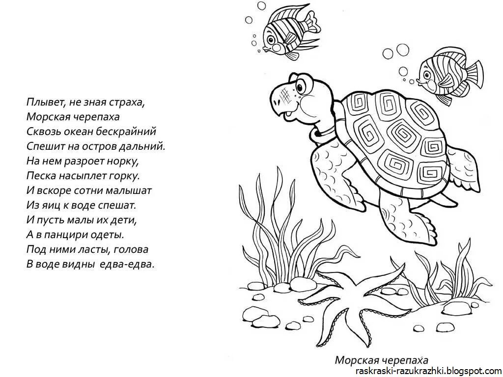 Раскраска морские обитатели. Разукрашка для детей морские обитатели. Раскраска "морские жители". Морские жители раскраска для детей. Стих про черепаху