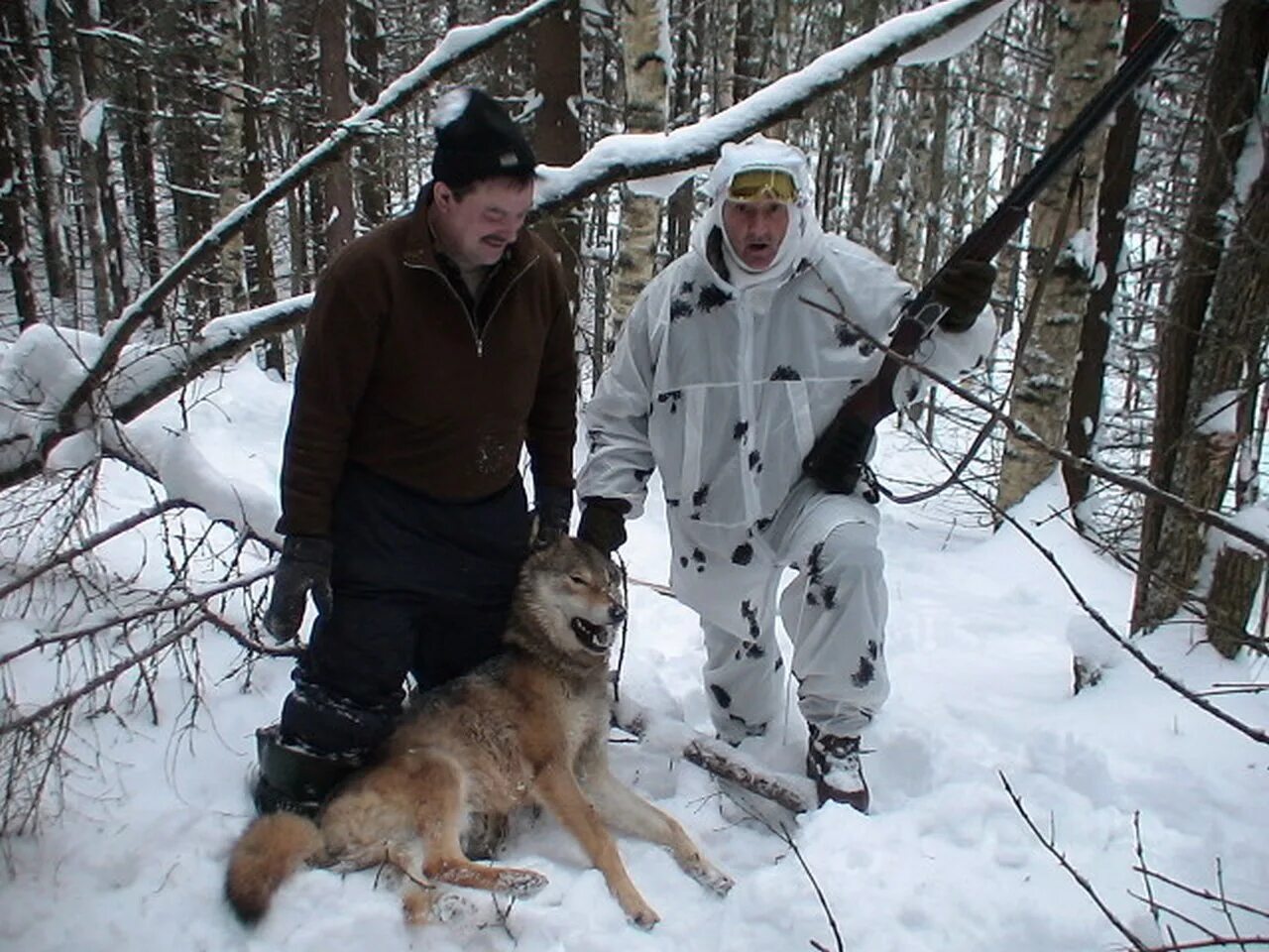 Wolf hunters