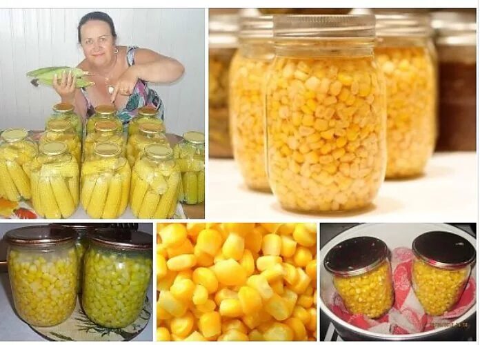 Как консервировать кукурузу на зиму. Кукуруза в початках консервированная. консервирование кукурузы в початках. консервирование кукурузы на зиму. кукуруза початки консервированные.