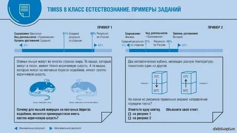 Тимс проджект