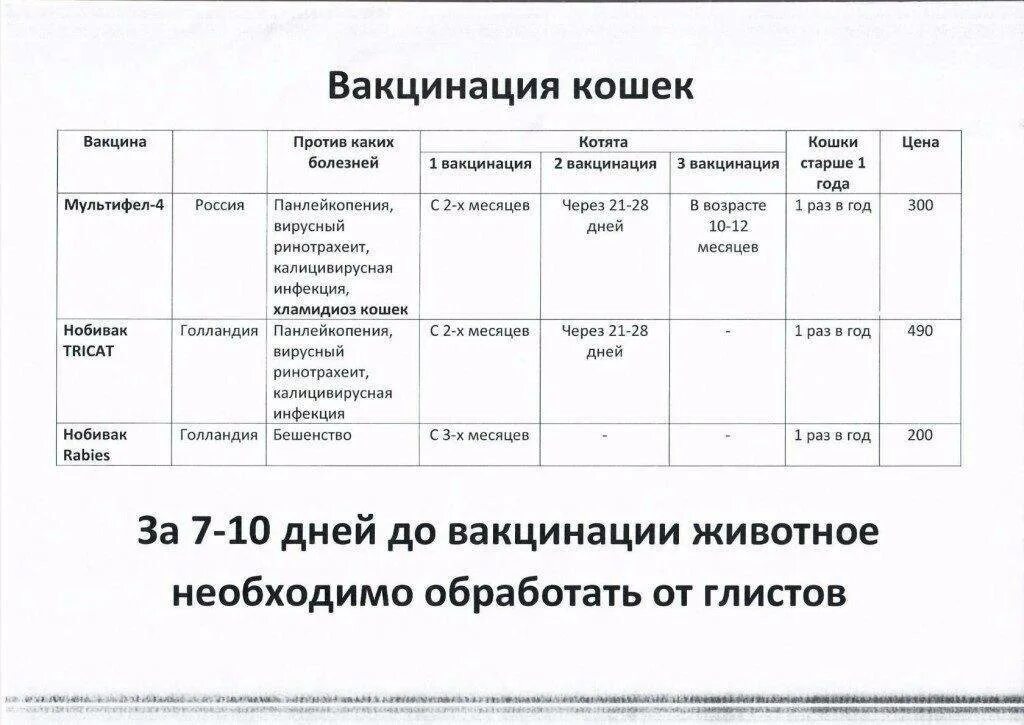 Сколько после глистогонки можно делать прививку. Прививки кошкам по возрасту таблица. Прививки кошкам график прививок. Какие прививки делают котятам в 2 месяца. Прививка котёнку в 2 месяца.