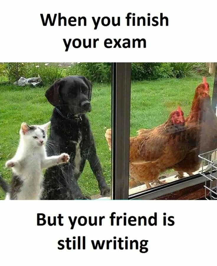 Have you finish your project. Смешной финиш. when you finish.