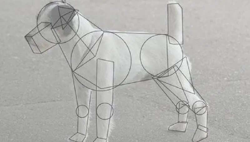 Рисование фигуры животных