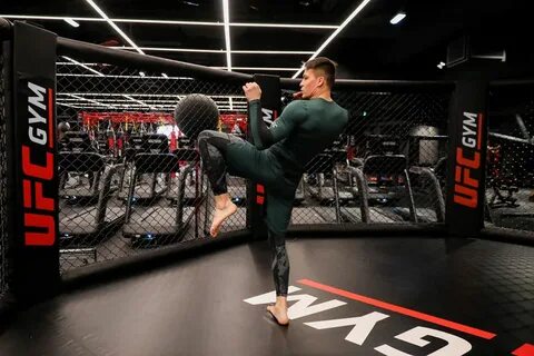 Ufc gym