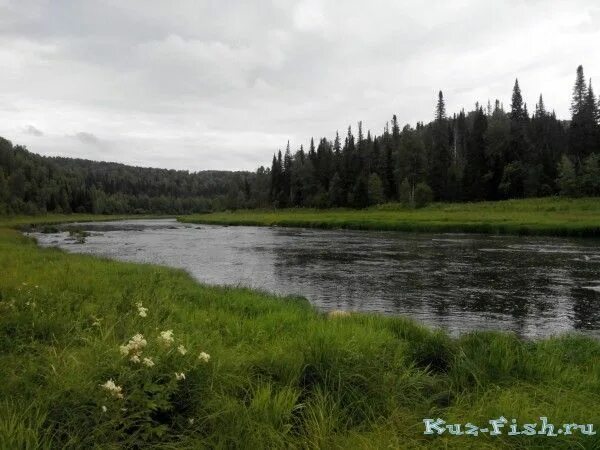 Каз река. Река Мрассу Таштагольский район. Кондома река в Новокузнецке. Река кондома Таштагольский район. Река кондома в Осинниках.