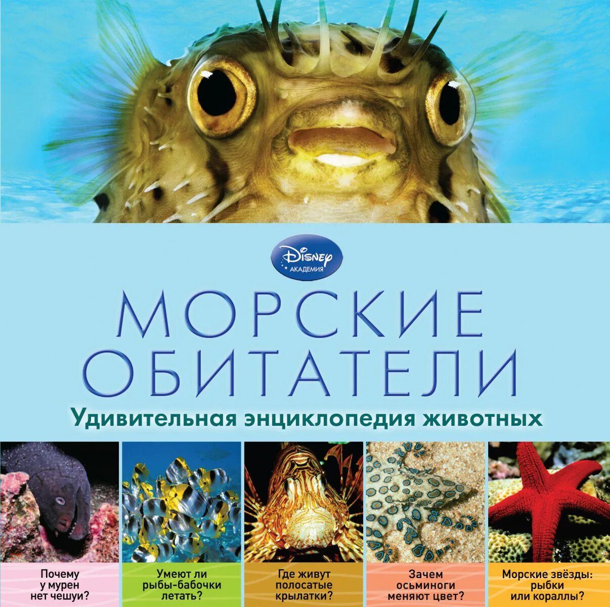 Книга морские обитатели. Полная энциклопедия ю. Книга морские обитатели. Детская энциклопедия «подводный мир» росмэн. Книга морские обитатели.