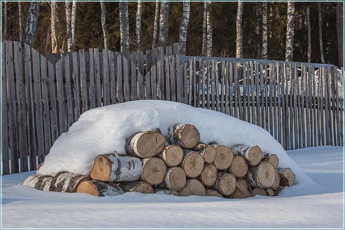 10 кубов бревен. Поленница в снегу. Бревно в лесу зимой. Дрова на снегу. Поленница дров зимой.