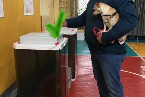 Выборы в марий эл 8 сентября