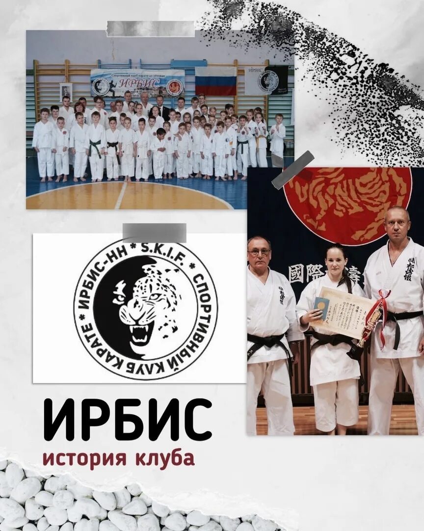 Спортивные клубы в новотитаровской. Спортивный клуб ирбис. Спортивный клуб ирбис. Спортивный клуб ирбис. Ирбис барнаул.