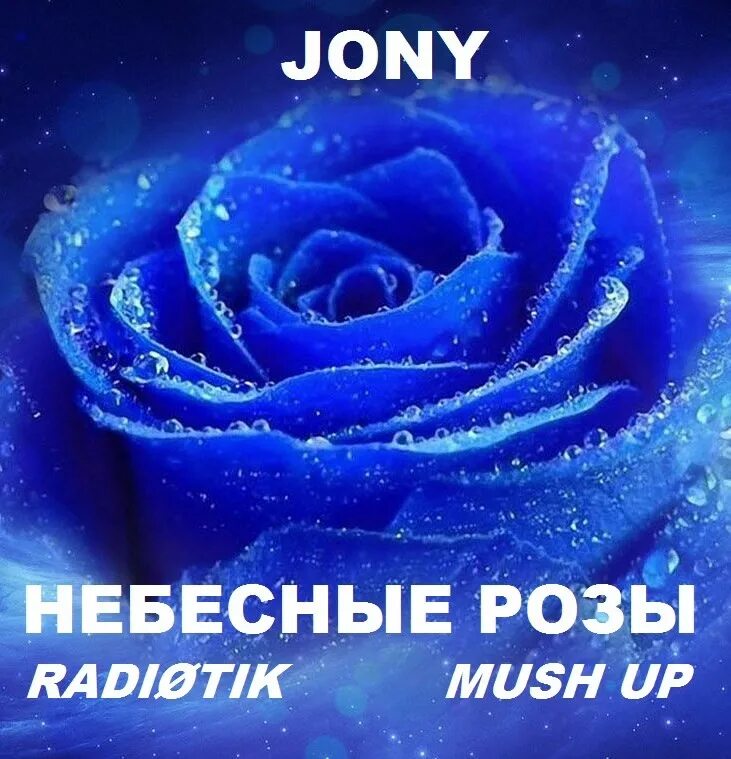 джонни небесные розы. небесные розы текст. небесные розы текст. джонни небесные розы караоке. Jony - небесные розы (2020).