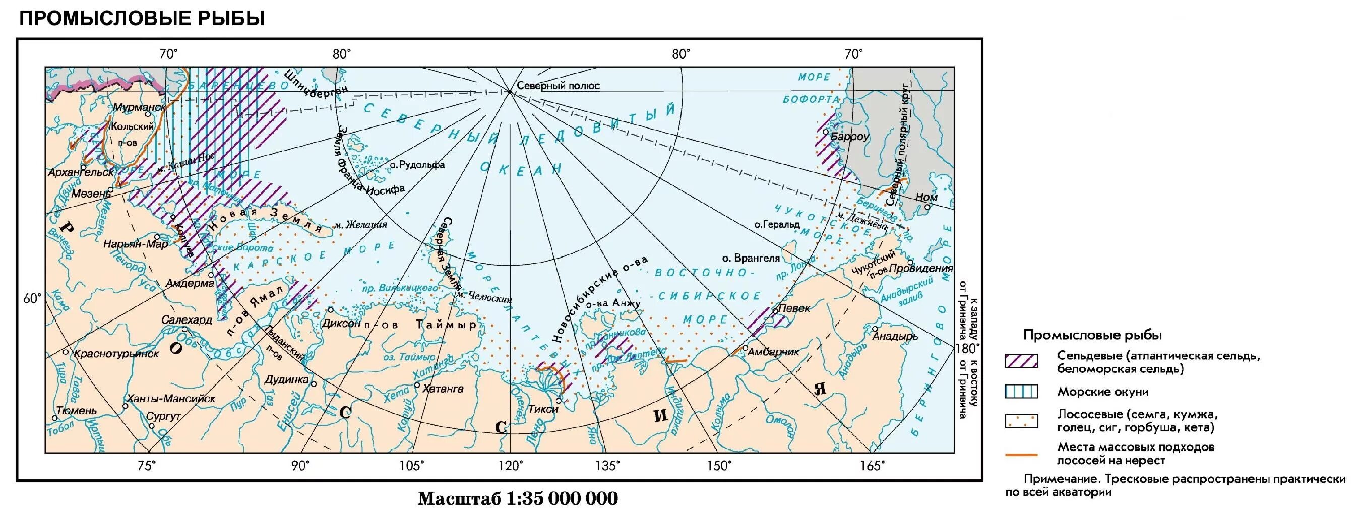 Зимняя граница плавучих льдов в России на карте. Моря российского сектора Арктики. Границы арктического сектора России. Баренцево море границы России. Площадь промысла