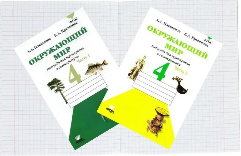 Окружающий 4 класса тетрадь. Окружающий мир тетрадь для тренировки и самопроверки 4 класс плешаков. тетрадь для тренировки и самопроверки. окружающий мир 4 класс тетрадь для тренировки и самопроверки. плешаков окружающий мир 1 класс тетрадь для тренировки и самопроверки.