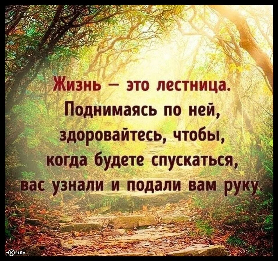 Красивые цитаты. Мудрые изречения. Умные фразы. Умные высказывания.