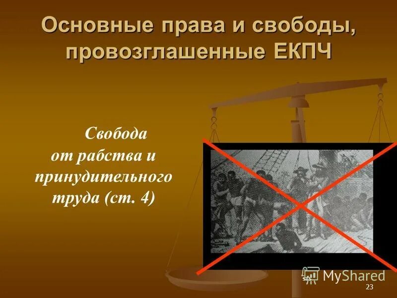 конституция 1977 права граждан. статья 1 всеобщей декларации прав человека провозглашает все люди. ленин и манифестация 1919. человек провозглашающее свободу. может ли человек быть абсолютно свободным.