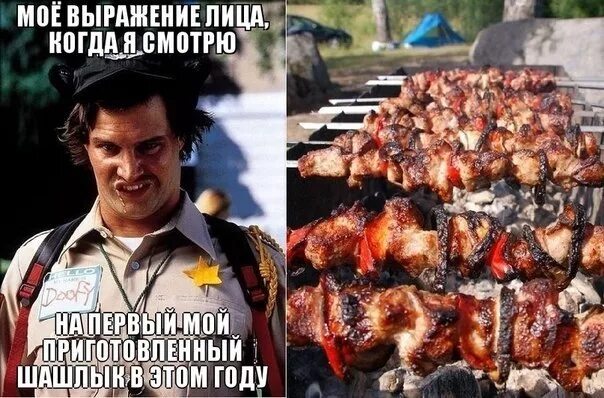 Жарить шашлык прикол. Шашлык картинки прикольные.
