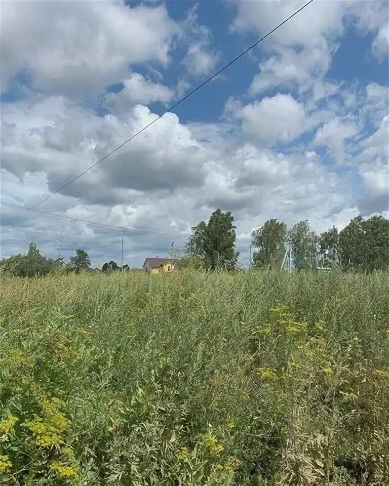 Республика мордовия саранск 2-я промышленная улица пегас. Красные липки волгоградская область. Земли 82. Кладбище возле деревни федорцово. 82 га.