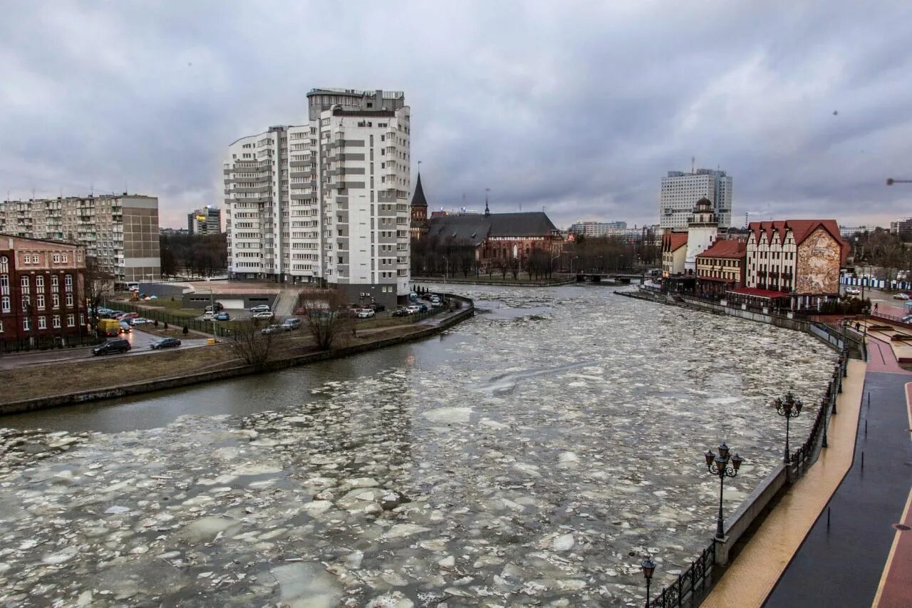 Малинау Калининград. Калининград фото улиц города 2022. Калининград фото города 2021 сейчас. Калининград сейчас фото. Купить в калининграде сегодня