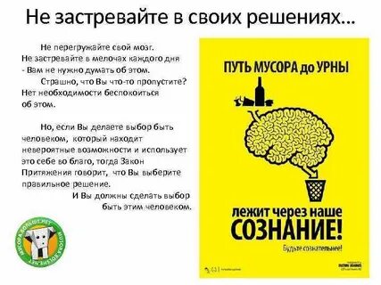 Философия чист