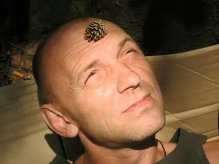 Шишка это человек