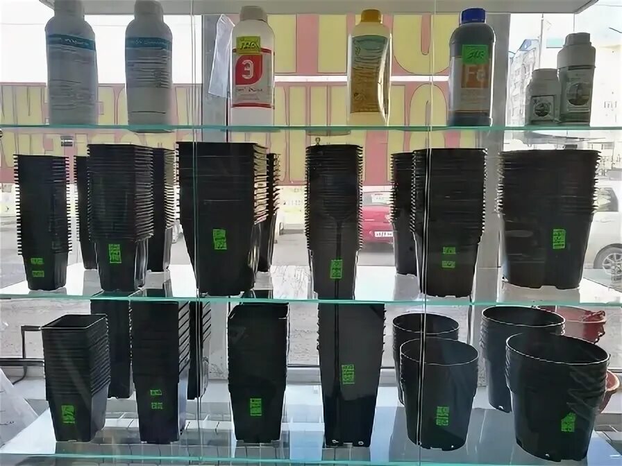 Лучший магазин рассады