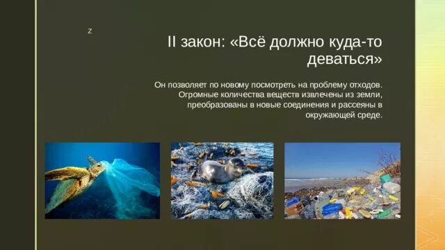 "Экология и мы"