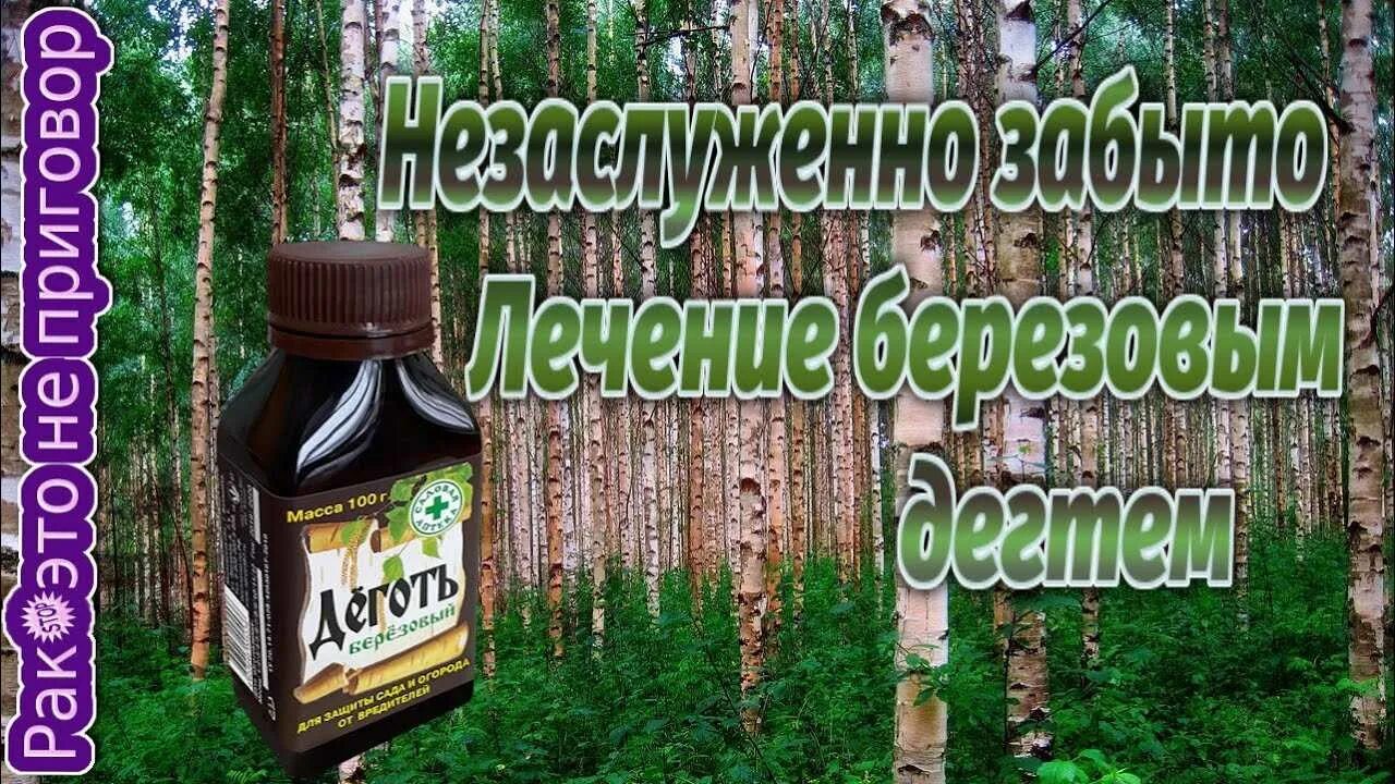 Как пить деготь березовый. Березовый деготь в народной медицине. деготь сосновый. очищение организма березовым дегтем. очищение печени берёзовым дегтем.