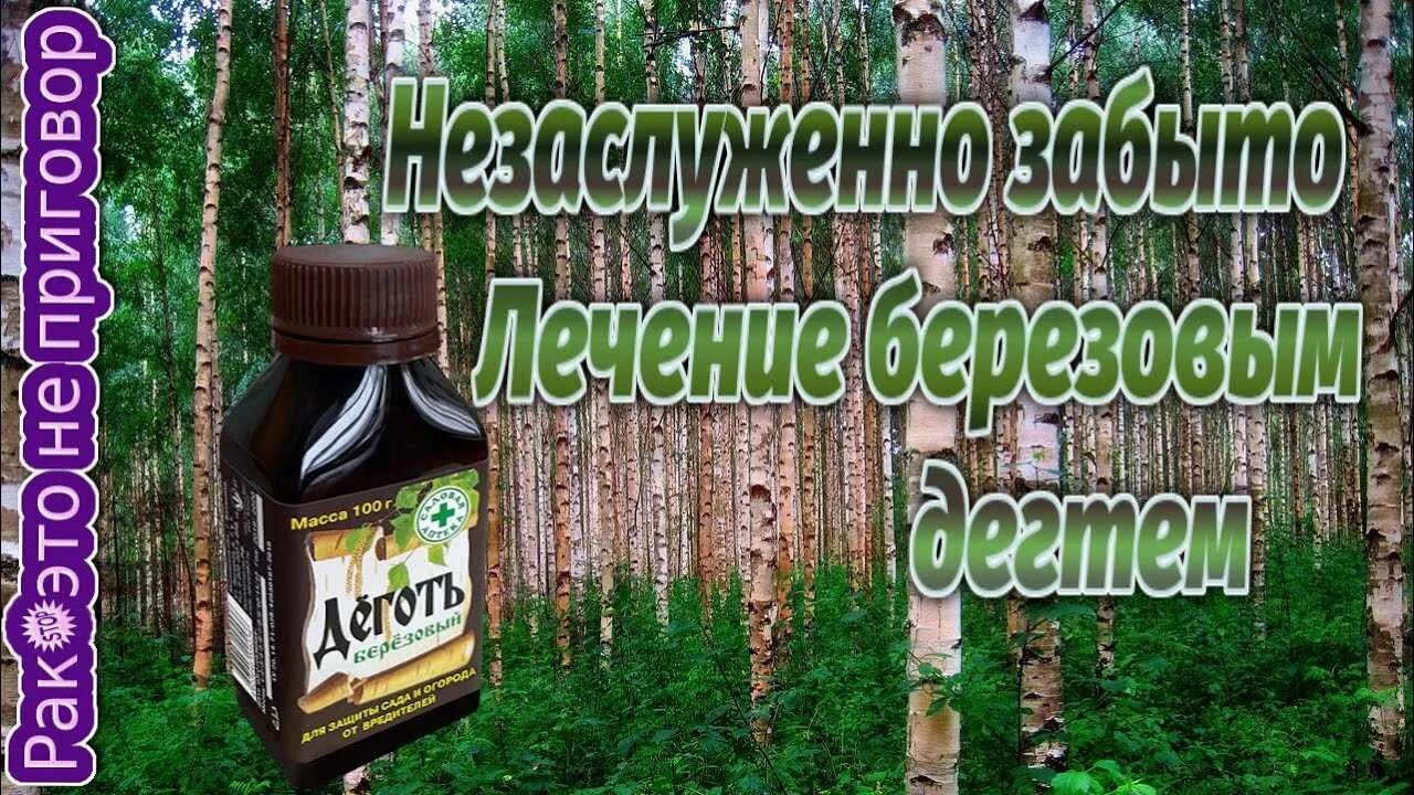 Как пить деготь березовый. Березовый деготь в народной медицине. Деготь Сосновый. Очищение организма березовым дегтем. Очищение печени берёзовым дегтем.