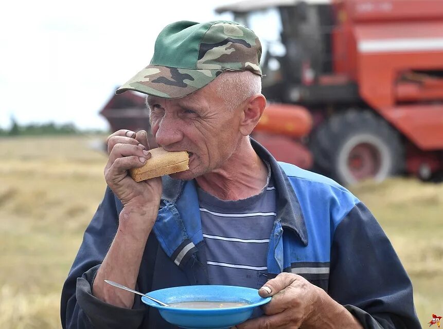 обед трактористов. тракторист обедает в поле. обед в советской живописи. обед тракториста. советские трактористки.