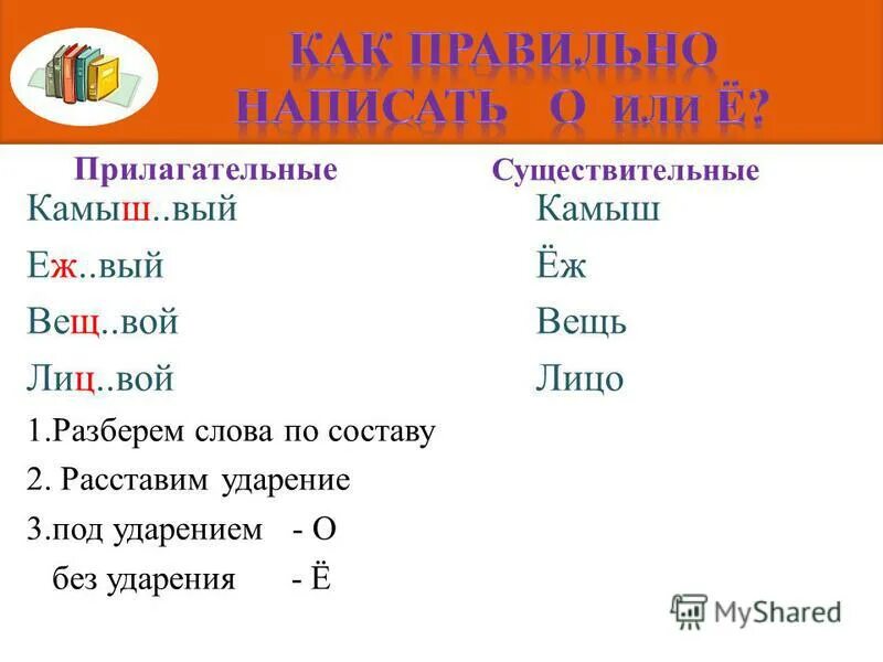 1 влюбч вый заботл вый. Камыш прилагательное. Камыш какой прилагательное. Камыши ударение. Вещ как писать правильно.