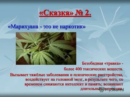 Стихотворение про травку