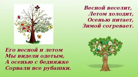 Ответ загадки весной веселит летом холодит