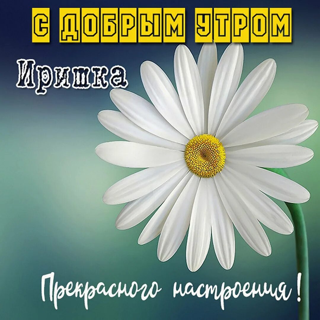 Светы доброе утро. Открытки с добрым утром Юлечка. Открытки с добрым утром по именам. Открытка с добрым утром света. Открытки доброе утро с именами.