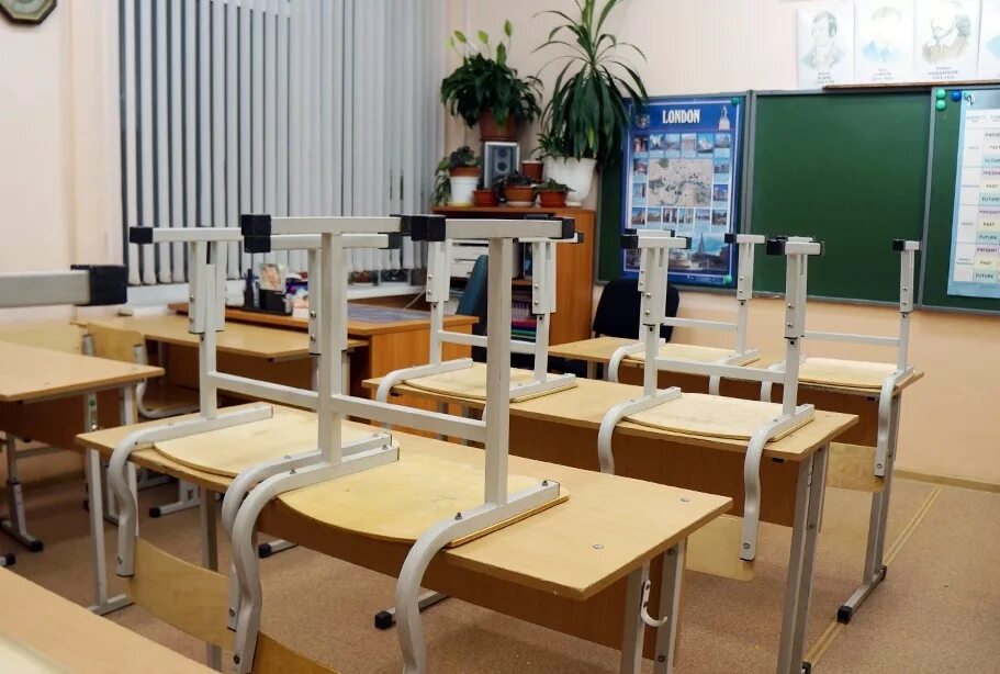 в тюмени все школы закрыли на карантин. дистанционная учёба в школе. обучение в школе. дистант в школах. образование в школе в 21 веке.