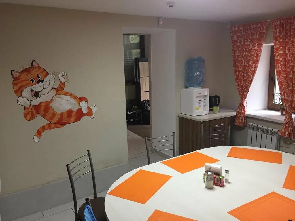 Хостел кот. Хостел кот на крыше казань. Кот на крыше хостел. Хостел метро курская. Общежитие с котиками.