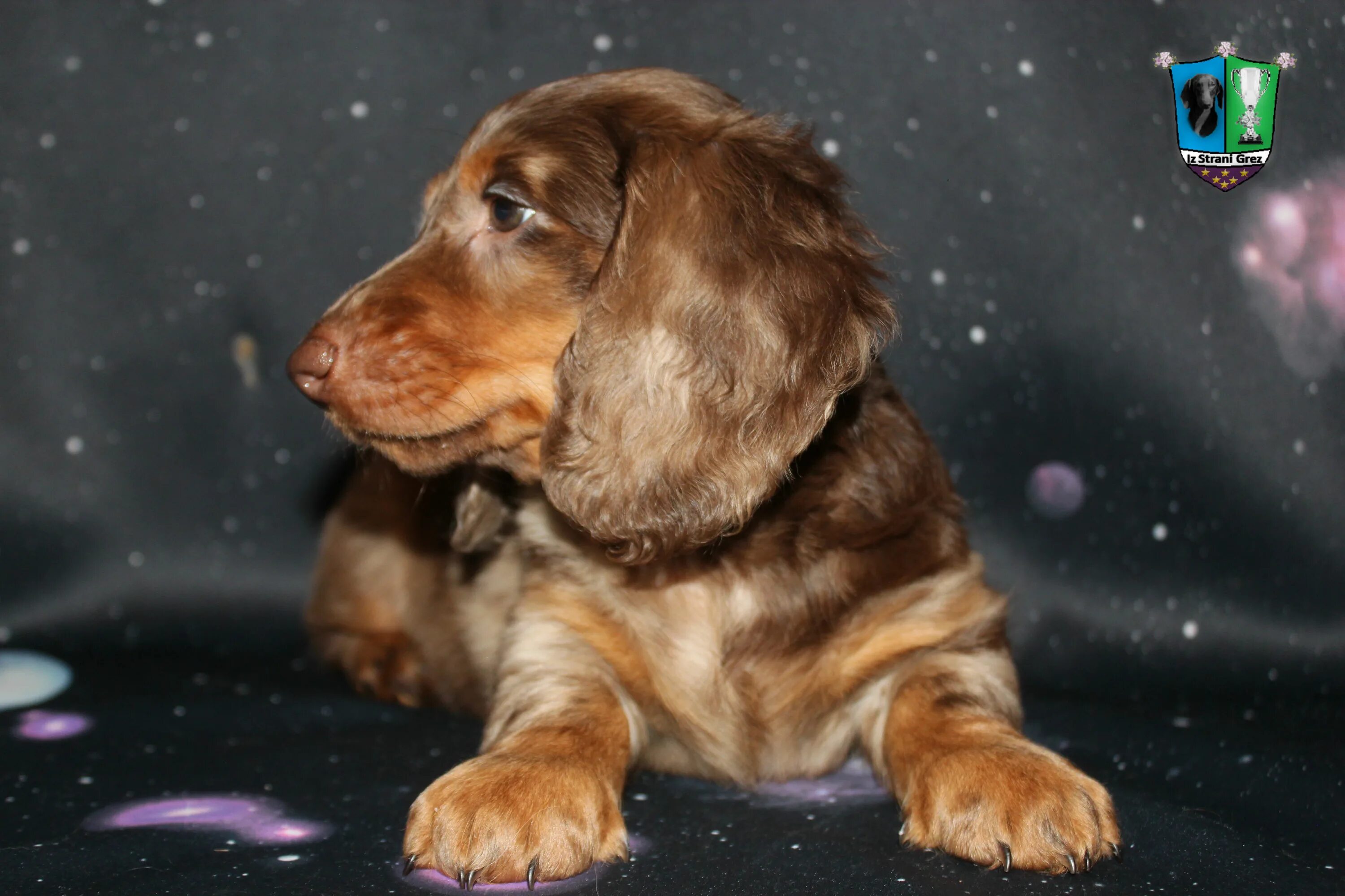 осколки наших грез. Maks grez. Ciao cacao is stream grez. Maks grez. Maks grez.