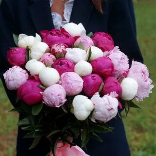 Букет пионов цветов картинки
