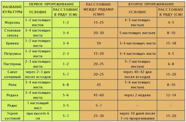 Срок всхожести моркови и свеклы. Сроки всходов семян после посадки. Сроки всхода семян в открытом грунте. Схемы посева овощных культур. Через сколько всходит редиска после посадки