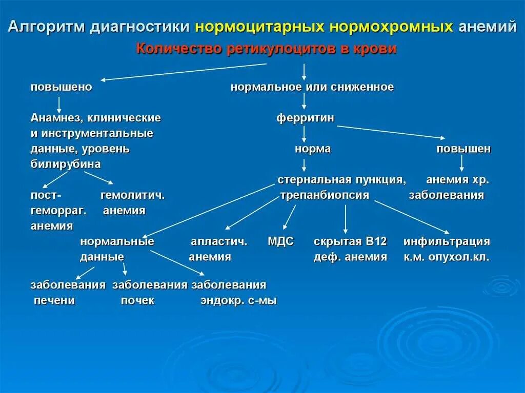 Подозрения на анемию. Алгоритм диагностика при гипохромной анемии. Алгоритм диагностики анемии рекомендации. Алгоритм диагностики при анемиях. Алгоритм диагностики анемии хронического заболевания.