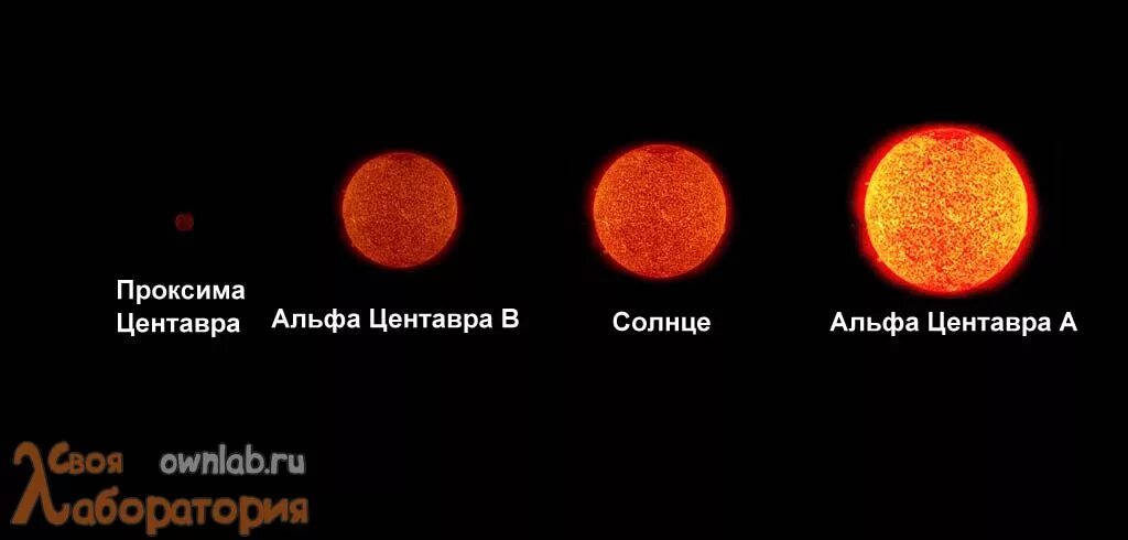 Альфа Центавра звезда и солнце. Система звезд Альфа Центавра. Альфа Центавра и солнце сравнение. Проксима Центавра и солнце сравнение. Альфа центавра ближайшие звезды к солнцу