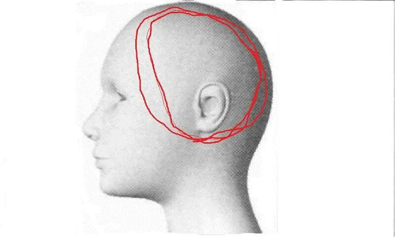 Голова левая сторона затылок. Шишка на голове над ухом.