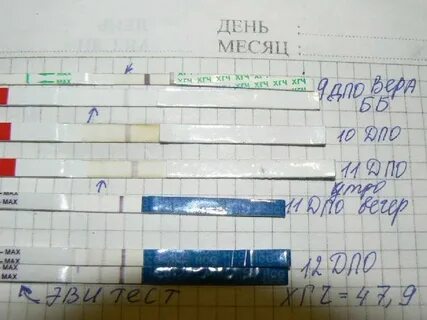 Тест перед месячными форум
