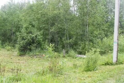 55 км посадников остров