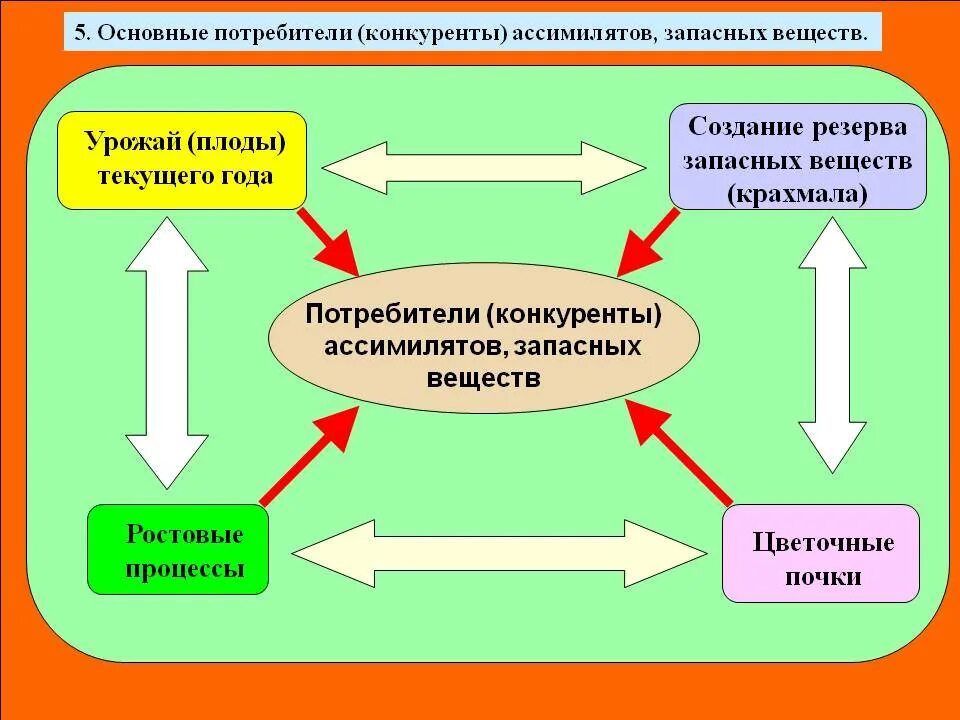 Основные потребители и конкуренты. Основные потребители и конкуренты. Политические факторы внешней среды организации. Инструменты и механизмы маркетинга территорий. Основные потребители и конкуренты.