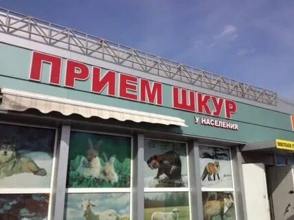 Куда принимают