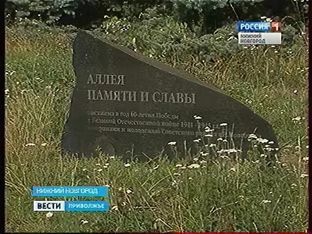 Аллея памяти рокоссовского в каком районе нижнего. Аллея памяти и славы нижний новгород. аллея памяти и славы нижний новгород советский район. аллея памяти и славы нижний новгород рокоссовского. улица рокоссовского нижний новгород.