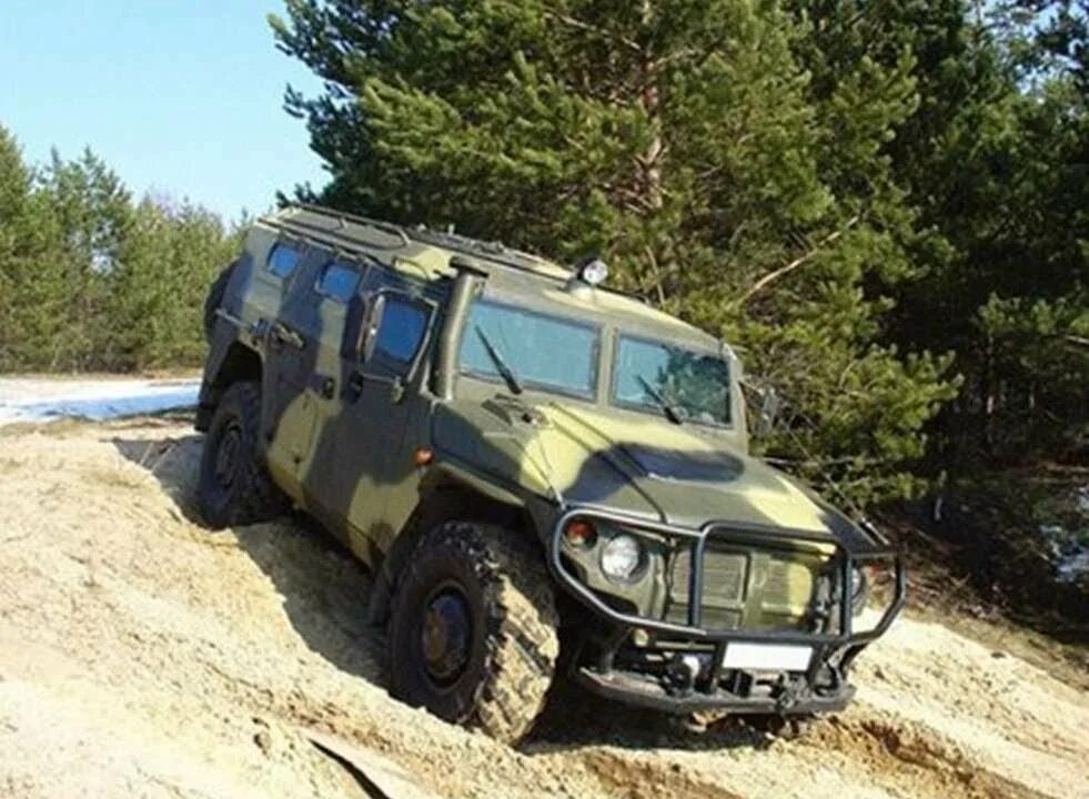 Тигр спн. Тигр спн