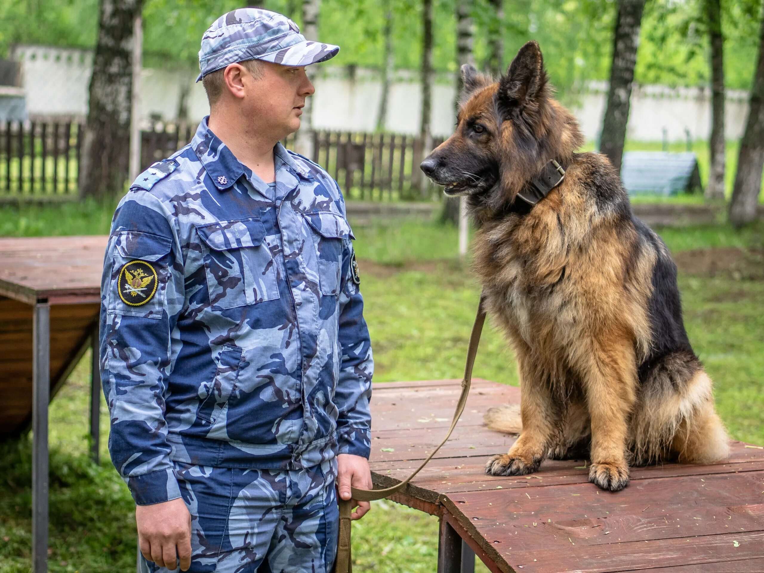 Кинологическая служба россии. Кинологи УФСИН России по Калужской области. Кинологи ФСИН Калуга. УФСИН Кинологическая служба. Кинологи УФСИН Удмуртии.