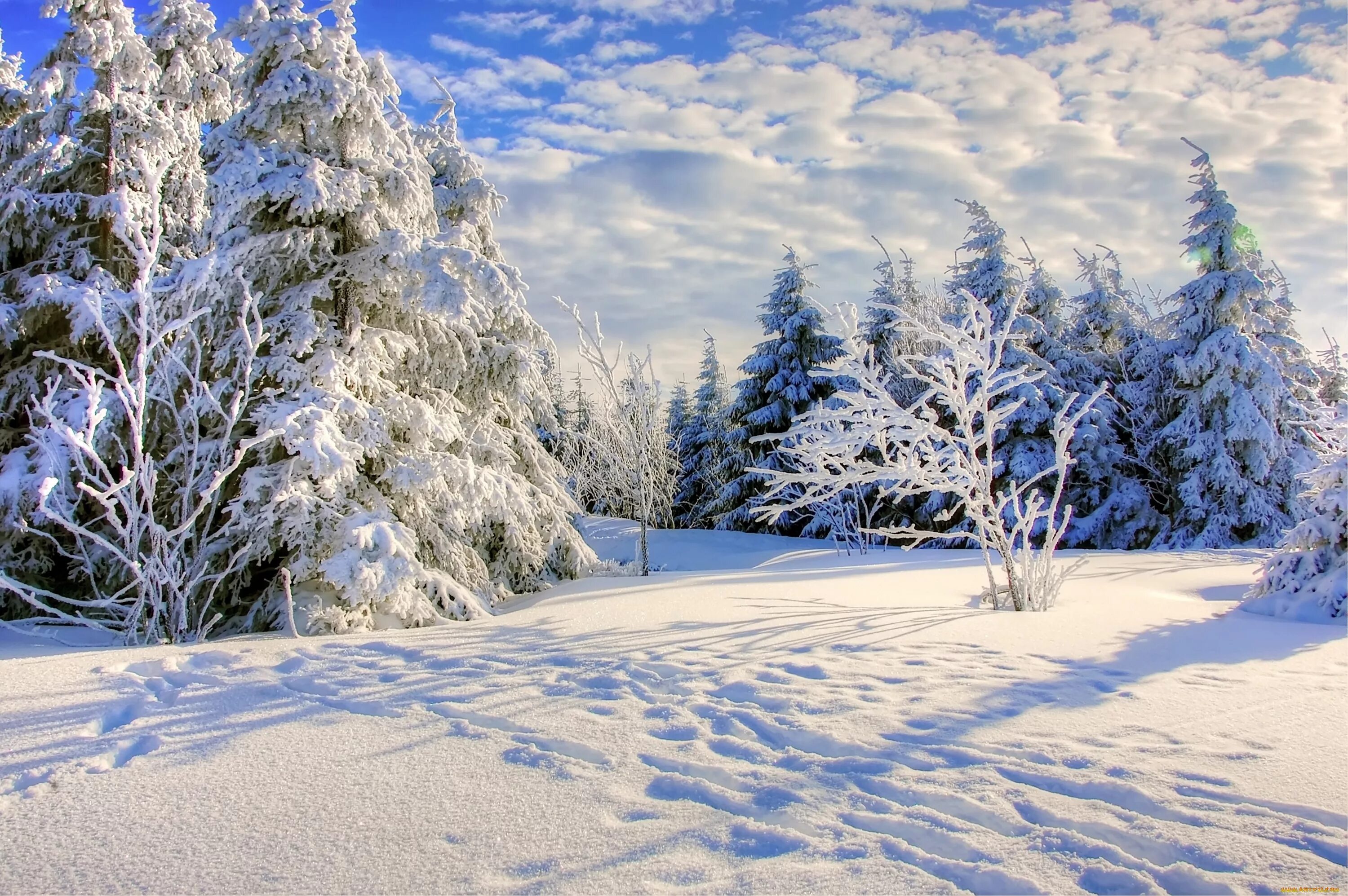 Снежная зима к какому лету. Зимний пейзаж. Красивая зима. Снежный пейзаж. Зимний лес.